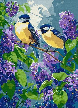 Картина по номерам "весенний дуэт" ©art_selena_ua kho6654, 30х40 см