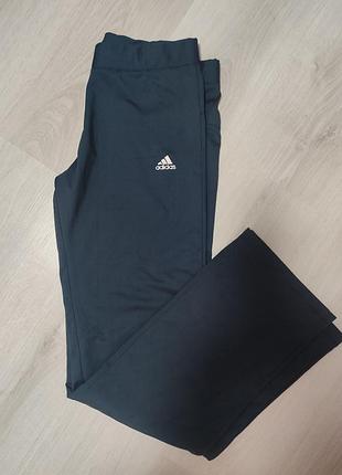 Спортивні штани  adidas ess stanford climalite