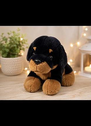 М'яка іграшка ротвейлер від бренду keel toys із характерними коричневими плямами над очима та на мордочц