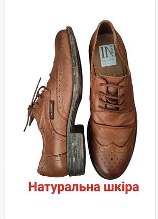 Натуральні шкіряні коричневі, коньячні, кемел жіночі туфлі, броги, оксфорди, на шнурівці, з перфорацією, преміум