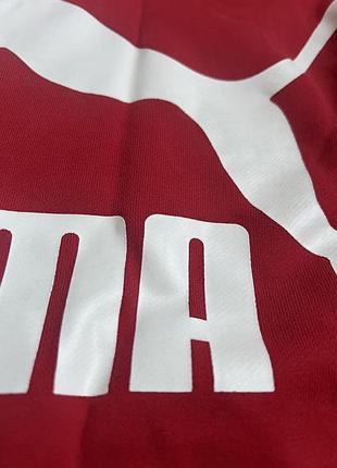 Худі  puma світшот 2