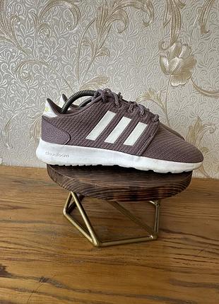 Кросівки adidas жіночі нюанс