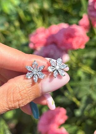 Сережки pandora «блискучий гербарій»