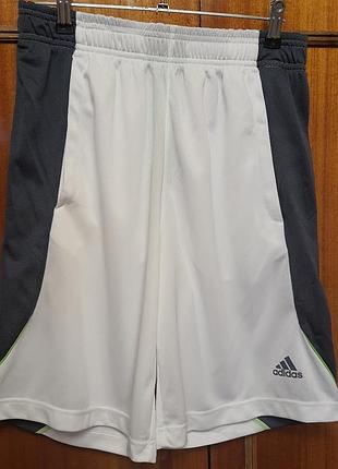 Adidas climalite брендовые стильные шорты