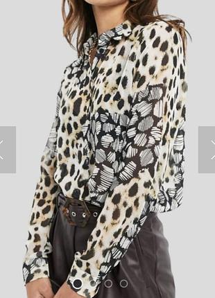 Блуза блузка шифон напівпрозора тваринний лео принт