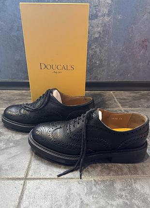 Дерби(броги) doucals 2