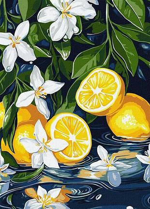 Картина по номерам "лимон в разрезе" ©art_selena_ua kho5733, 30х40 см