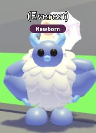 Єті yeti roblox adopt me рідкісний пет роблокс адопт мі пети петы адопт ми йети ети