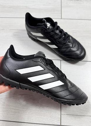 Футбольные бутсы сороконожки adidas goletto viii tf j р.34eur,21см