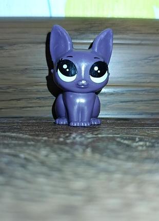 Коллекционная игровая фигурка фиолетовое котенка littlestpet shop котик lps