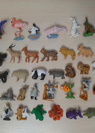 Киндеры животные, натунс animals, kinder natoons