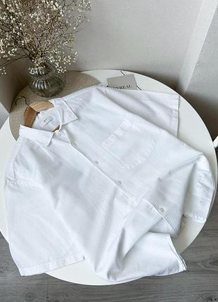 Біла базова сорочка льон теніска uniqlo чоловіча