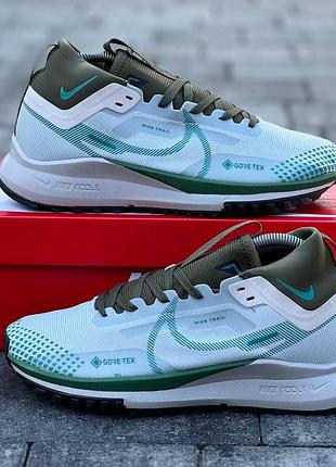 Nike pegasus trail 4
