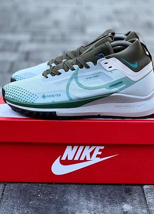 Nike pegasus trail 4 2