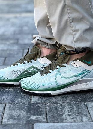 Nike pegasus trail 4 6