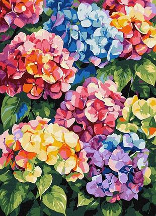 Картина за номерами "різнокольорові гортензії" ©art_selena_ua kho3299, 30х40 см