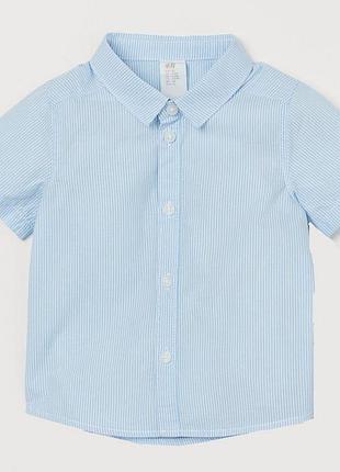 Сорочка подовжена спина для хлопчика h&m 0760907001 056 см (1-2 months) блакитний