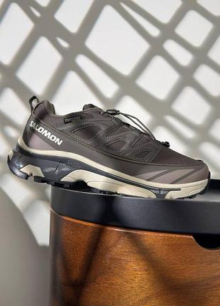Чоловічі кросівки salomon xt-6 expanse termo acs taupe beige
