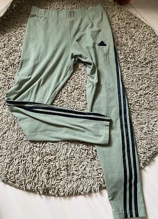 Легінси спорт  adidas