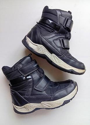Сапоги geox зима р.35