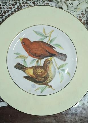 Колекционі тарелки elizabethan fine bone china ltd..