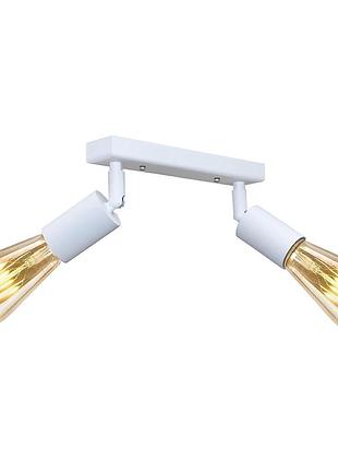 Світильник у стилі лофт із поворотним механізмом msk electric asket nl 1222-2 w
