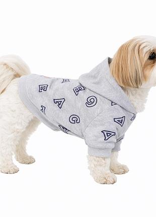 Кофта для собак diego hoodie серые буквы, размер xl