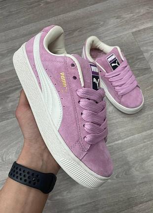 Suede xl