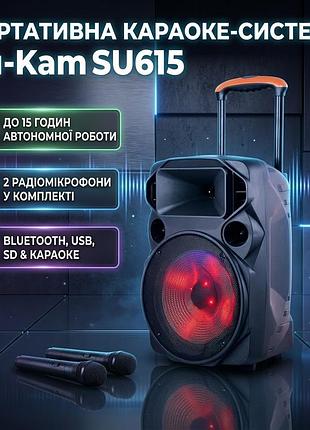 Портативная активная колонка с двумя радиомикрофонами и аккумулятором / беспроводная акустическая система для караоке