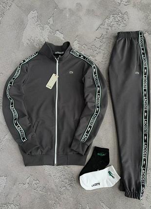 Сірий чоловічий спортивний костюм lacoste з лампасми  кофта + штани лакоста s / m / l / xl / xxl