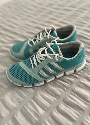 Кросівки adidas climacool modulate