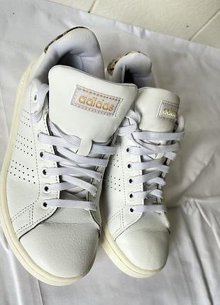 Діночі кросівки adidas