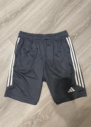 Шорти adidas
