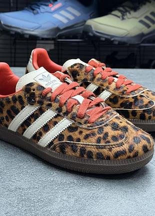 Кросівки adidas samba ji2734