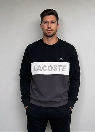 Чоловічий утеплений світшот lacoste