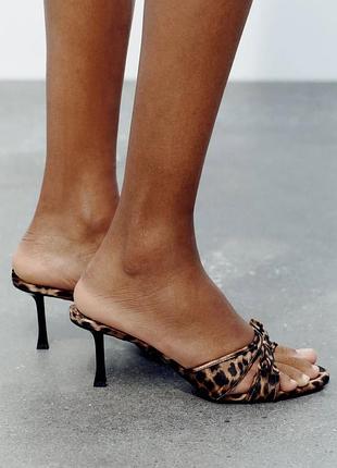 Шикарные леопардовые мюли zara
☝️☝️☝️☝️☝️☝️☝️☝️☝️☝️☝️☝️