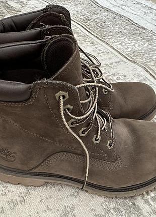 Черевики timberland