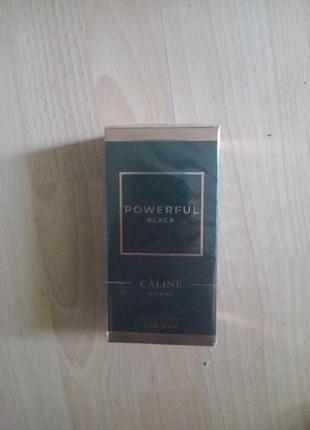 Мужская туалетная вода powerful black