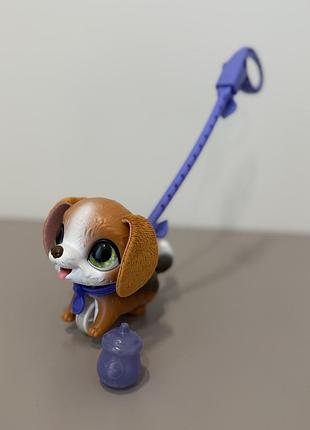 Інтерактивне цуценя на повідку littlest pet shop