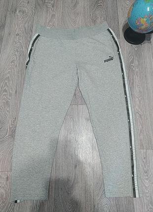 Женские спортивные штаны puma