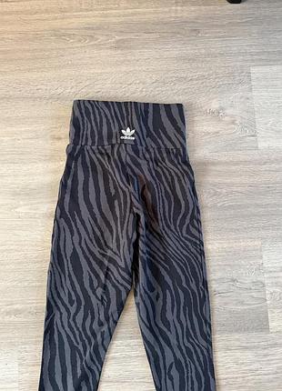 Лосіни adidas