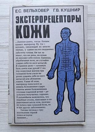 Вельховер е., кушнир г. экстерорецепторы кожи