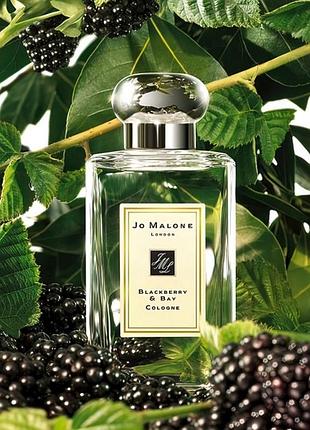 Парфюмы jo malone london blackberry & bay
