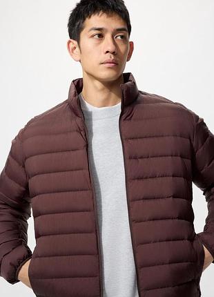 Куртка пухова uniqlo (470067)