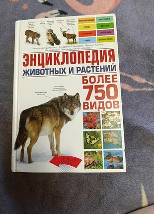Энциклопедия.