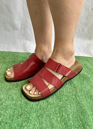 Шльопанці .