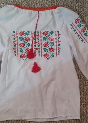 Вишиванка, блуза.
