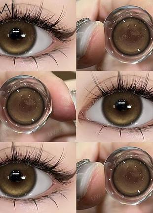 Цветные линзы коричневые rainy mood brown + контейнер для хранения в подарок
