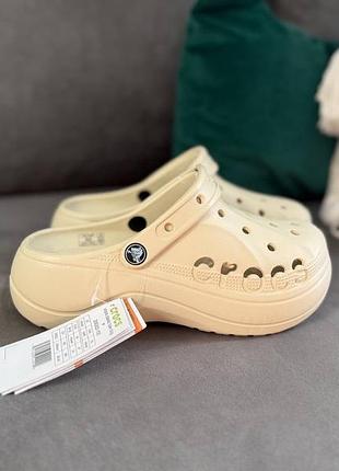 Сабо жіночі crocs/крокси/кроксы/клогі/клоги