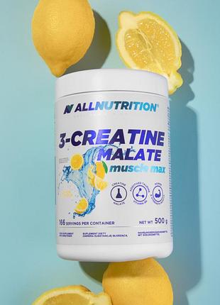 Креатин моногидрат allnutrition creatine muscle max 500 г